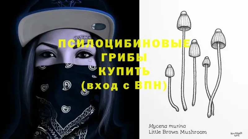 гидра сайт  Ялта  Псилоцибиновые грибы MAGIC MUSHROOMS 